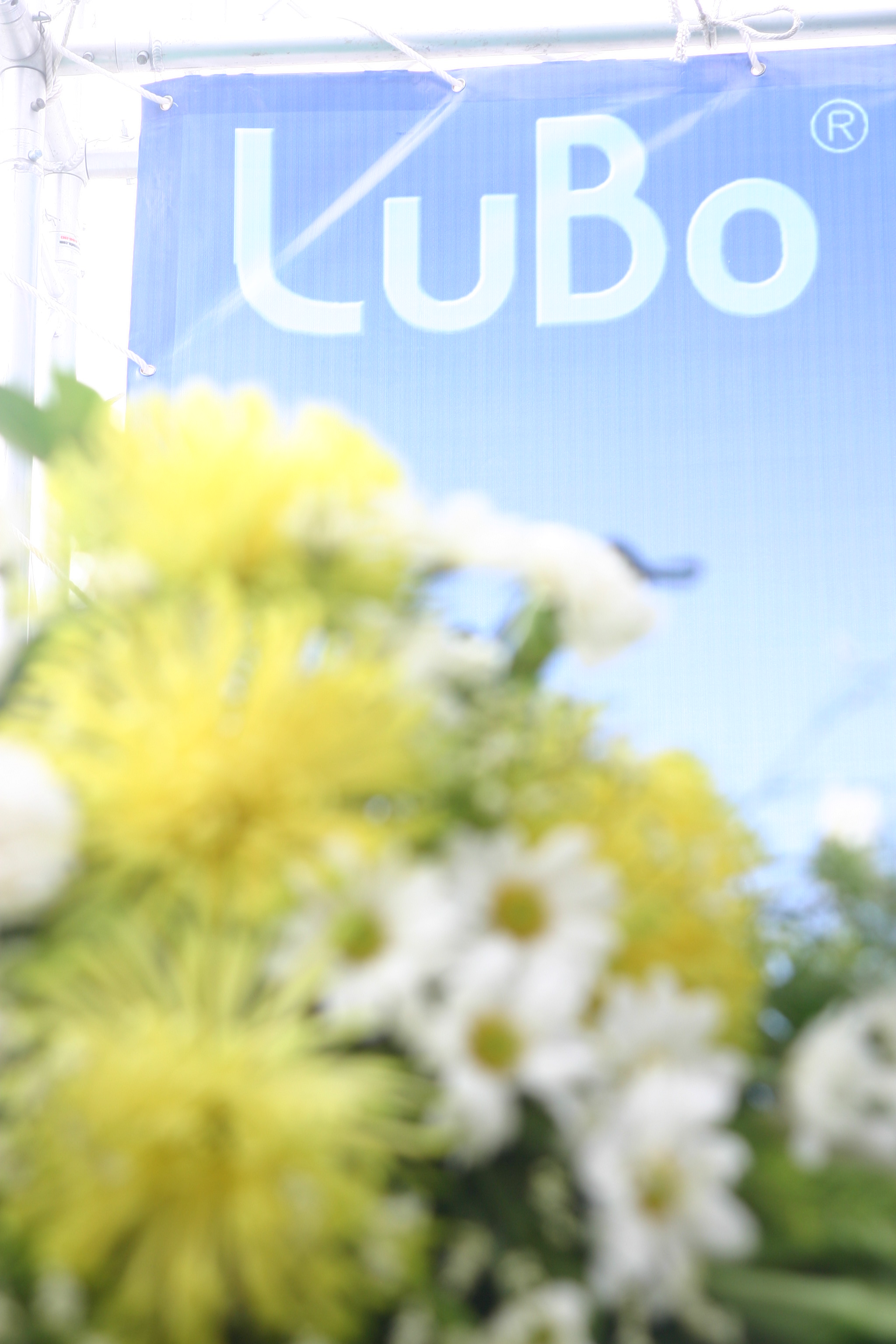 LUBO Engineering